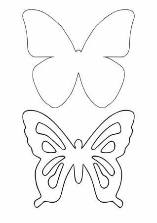 Большой и маленькой бабочки