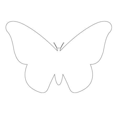 Брюшко бабочки