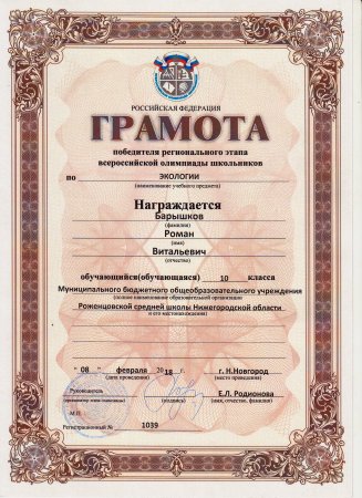 Диплом школьного этапа всероссийской олимпиады школьников