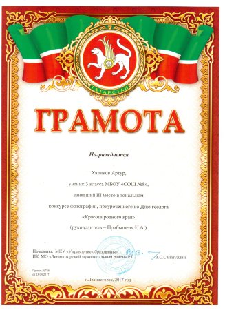Диплом татарский