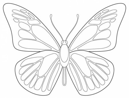 Гофрированной бабочки