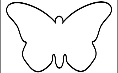 Голова бабочки