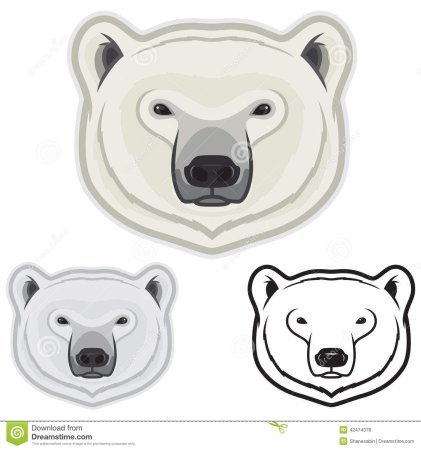 Голова белого медведя