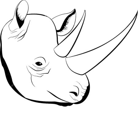 Раскраска носорог — Все для детского сада