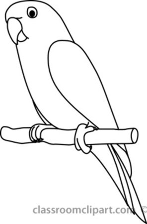 Голова попугая