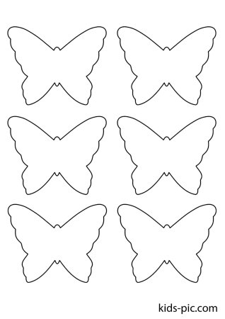 Интерьер бабочки