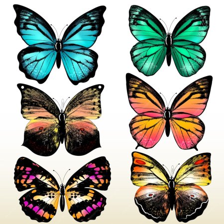 Красивые бабочки цветные