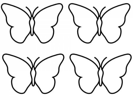 Красивой бабочки
