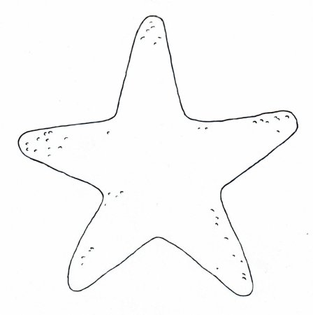 Морская звезда для мозаики