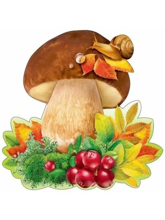 Ободка гриба на голову