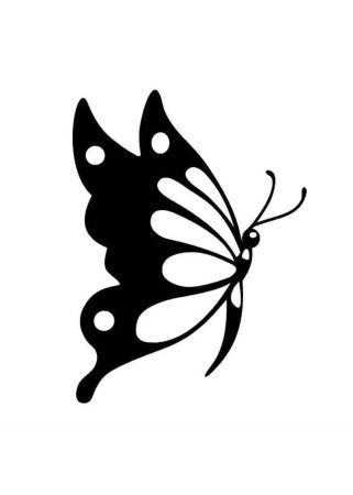 Пол бабочки