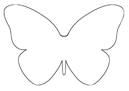 Тело бабочки без крыльев