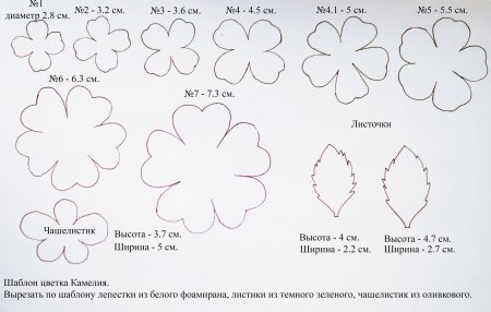 Цветы из пластика