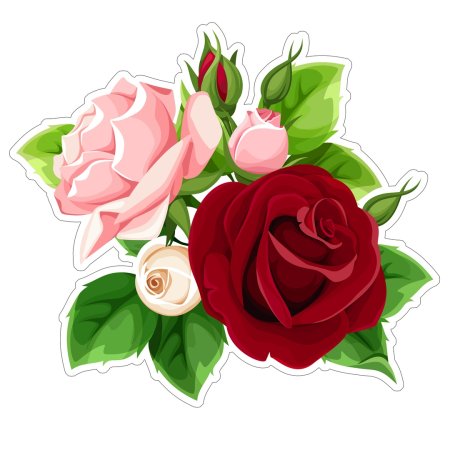 Цветы цветные розы