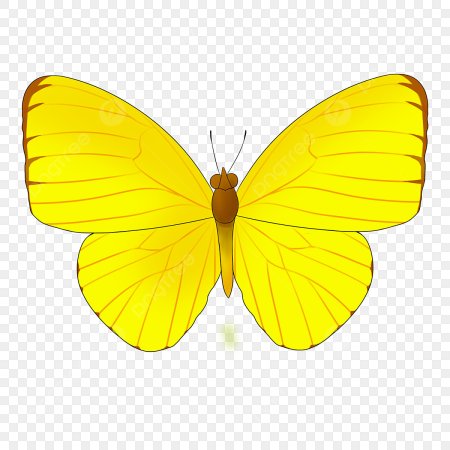 Желтый бабочки