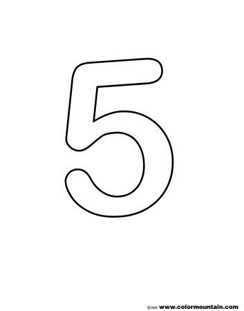 5 цифра