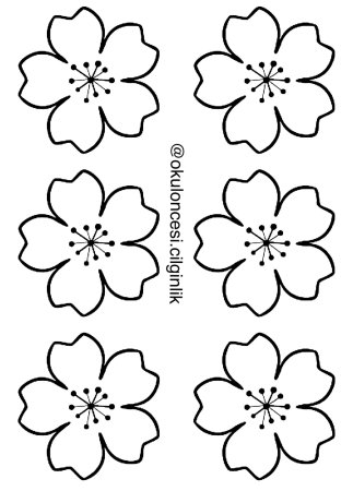 5 лепестковый цветок