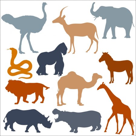 Африканских животных