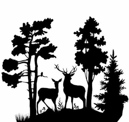 Деревьев и животных