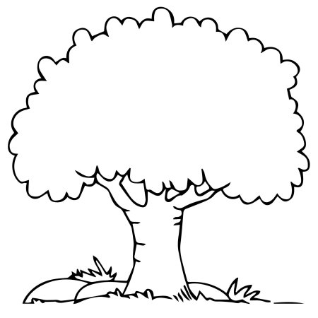 Дерево дерево дуб