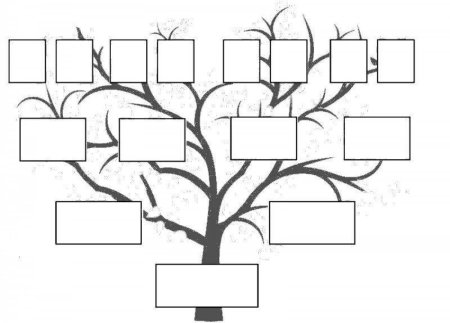 Дерево династии