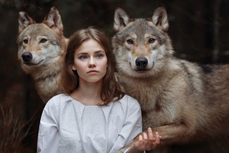 Девушка и волки