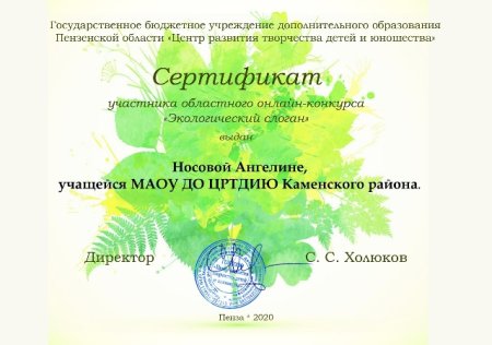 Диплом экологического конкурса