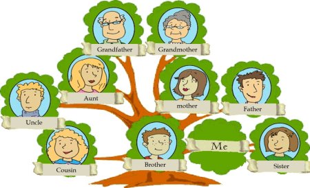 Семейное дерево на англ