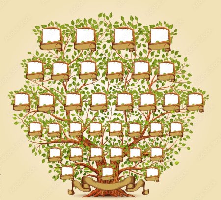 Генеалогическое дерево 7 поколений