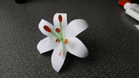 Лилия объемного цветка