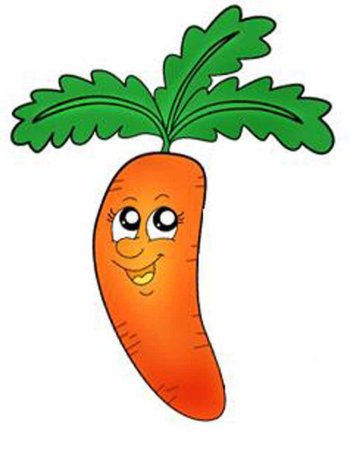 Морковь для маски