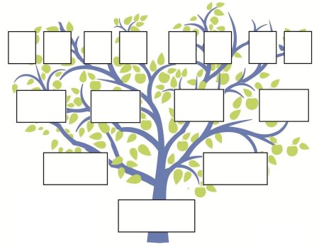 Родословная дерево 4 поколения