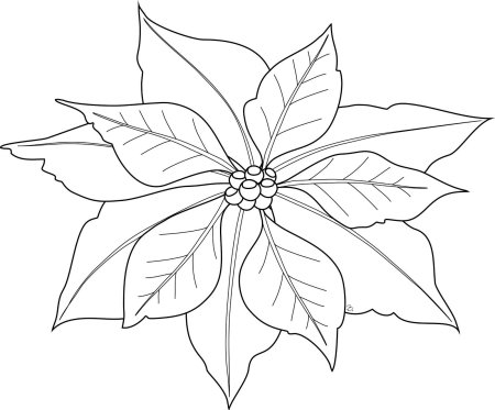 Новогодний цветок пуансетия