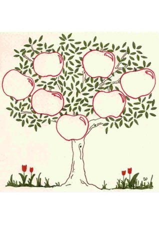 Родословное дерево с яблоками