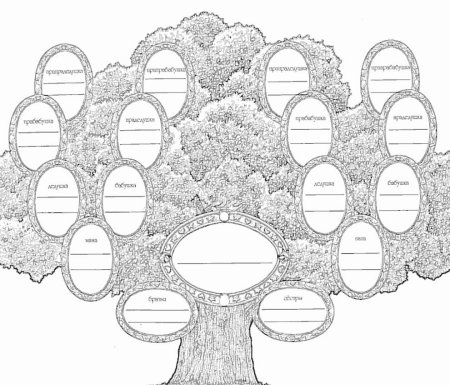 Родословное генеалогическое дерево