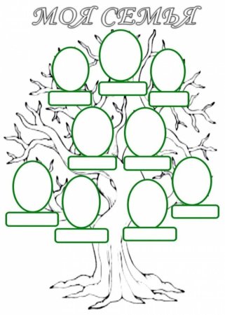 Родовое дерево для школьника