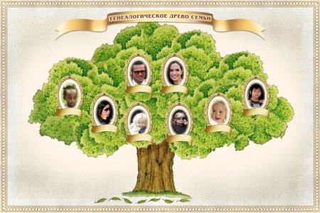 Династия Ефремовых Древо семьи
