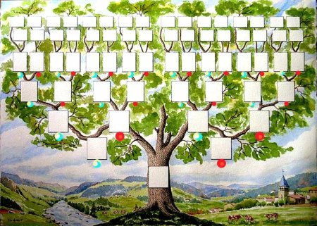 Родословное дерево – Древо жизни