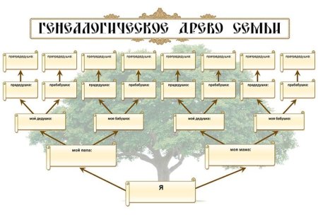 Составьте генеалогическое дерево родословная схема