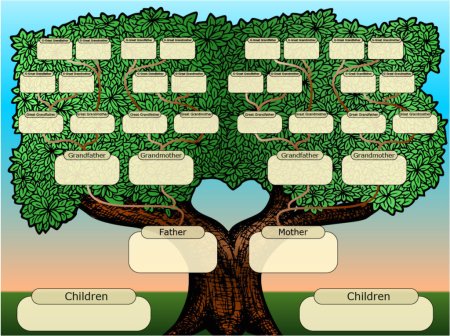 Родословная семей, генеалогическое дерево