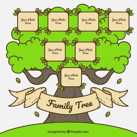 Семейного дерева на английском my family tree