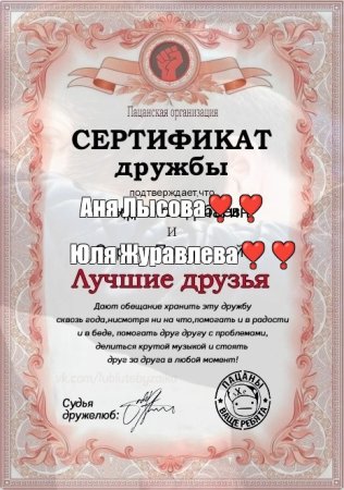 Сертификат дружбы