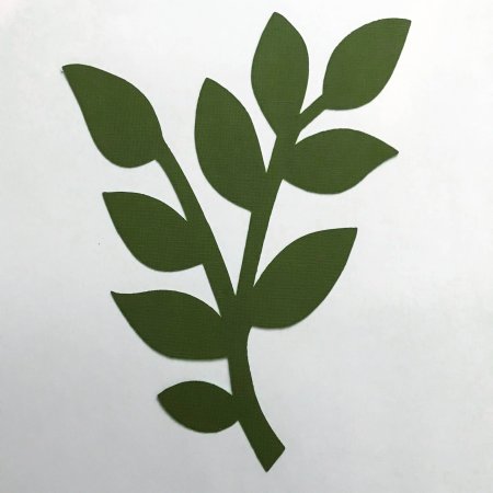 Зеленый листочек для цветка
