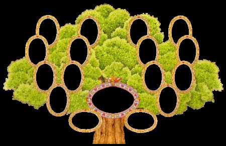 Генеалогическое древо рамки