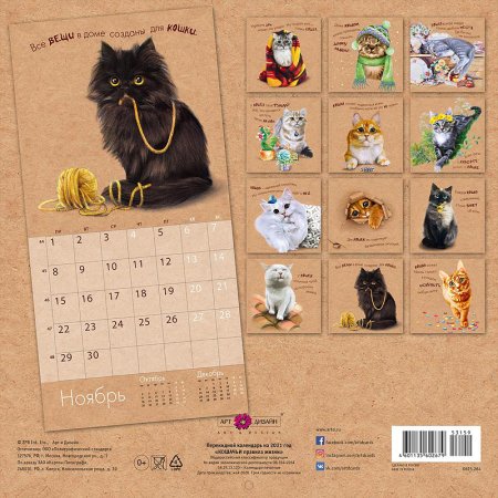 Календарь коты