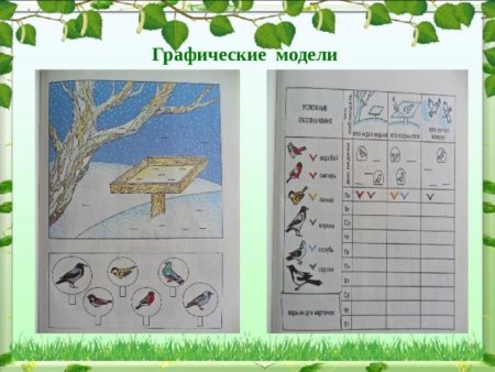 Календарь наблюдения за птицами