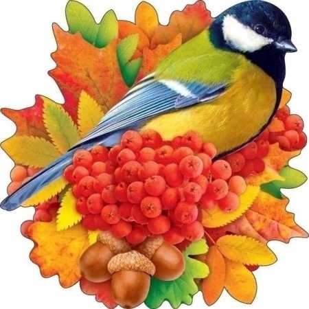 Осенних птиц