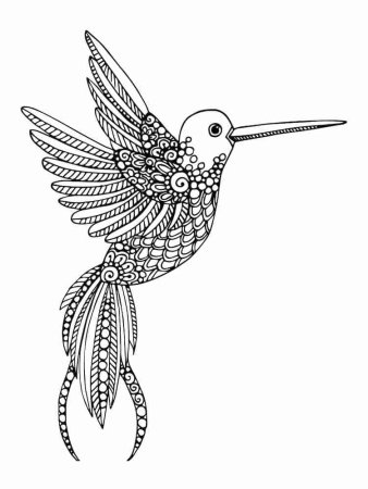 Птицы колибри