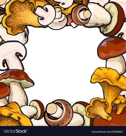 Рамка грибы