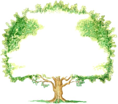 Семейное древо рамка